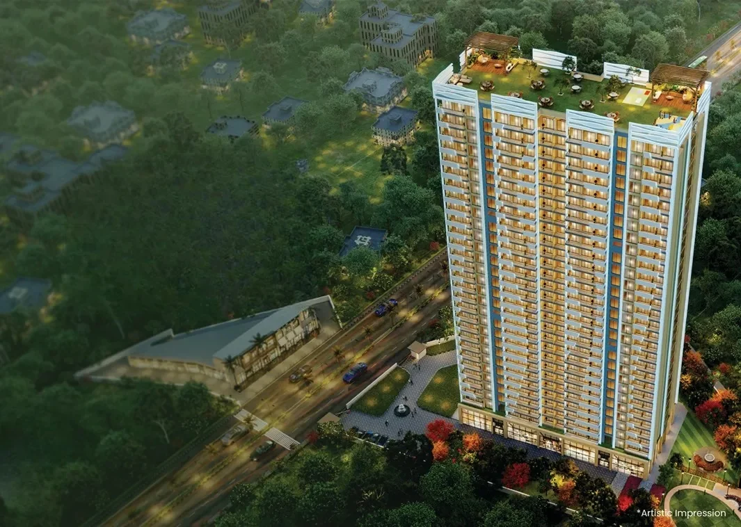 JMS Group Silver Living