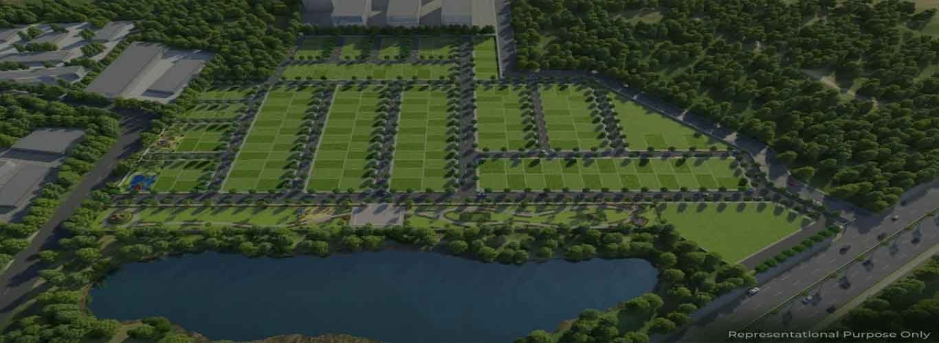 Neoliv Golf One