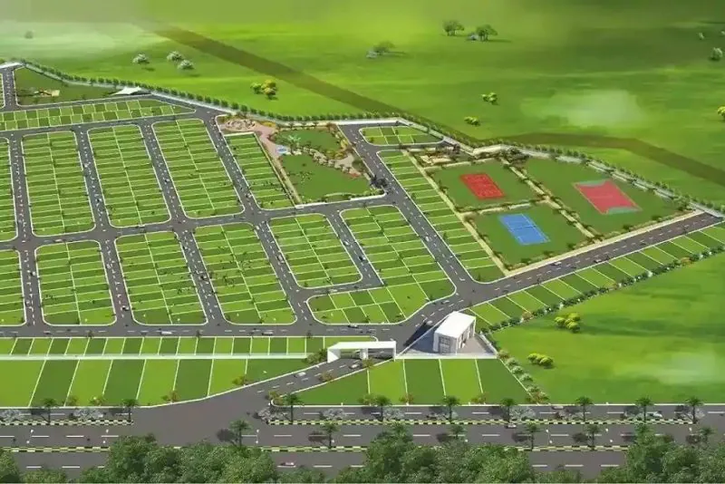 Pareena DDJAY Plots